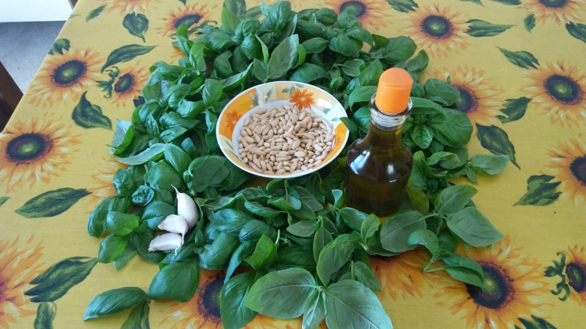 basilico ricette e proprietà benefici olio su tavola